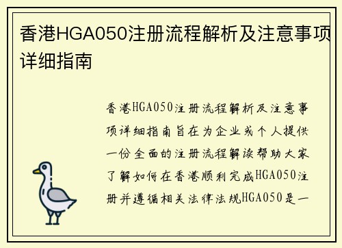 香港HGA050注册流程解析及注意事项详细指南